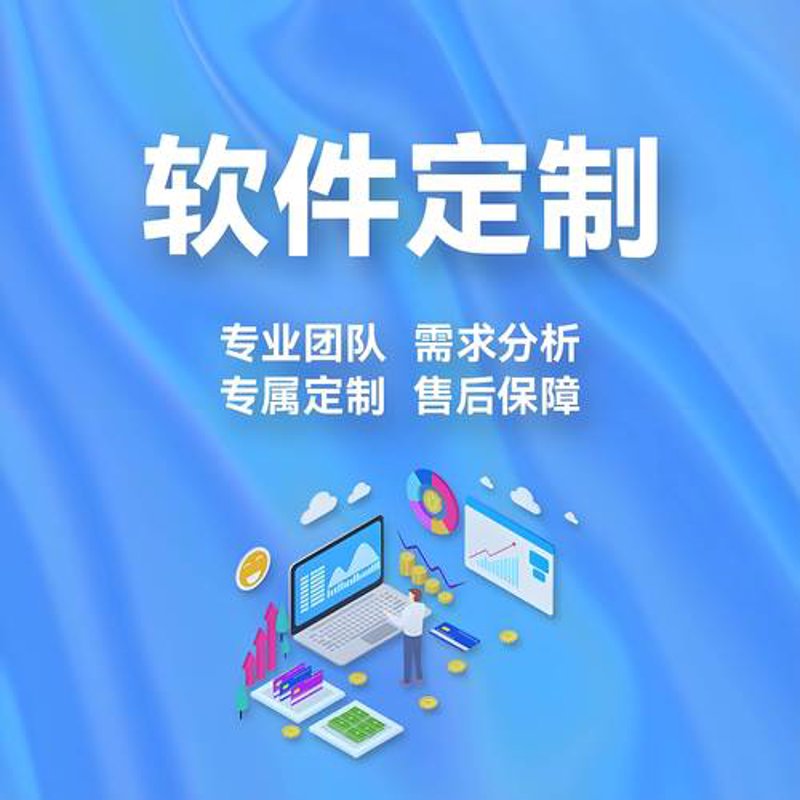 温州软件开发：推动企业数字化转型的新引擎
